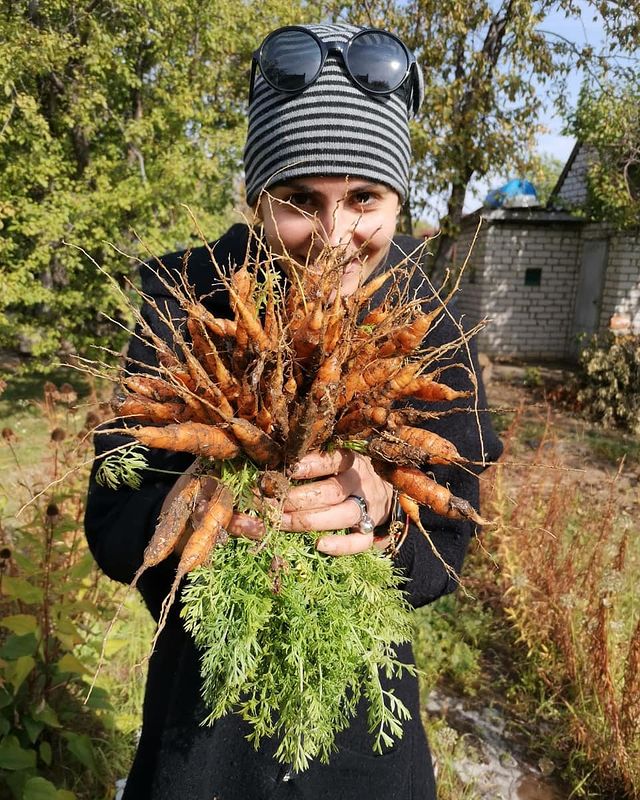 tatianaarshinova в LOOKY. #морковныйторт,#морковныйбукет,#урожайныйогород. Кому урожай? #морков...