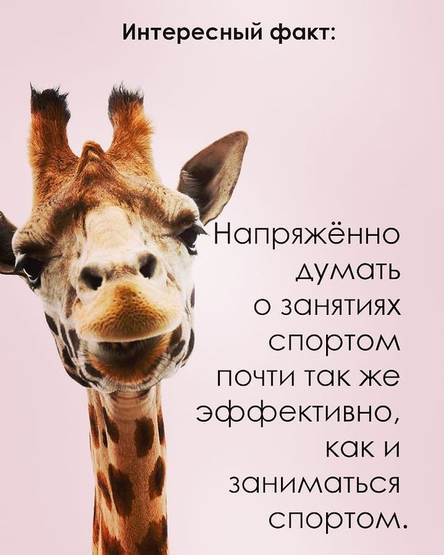 interesnye170 в LOOKY. #спорт,#силамысли,#моймир🌍,#мояпланета,#лайкдей❤,#путешествия,#лайктайм,#лайкивзаимно📷,#лайкзалайк,#interesting,#interesnye170,#adgieva_84,#likeforlikes,#likeme,#liketime. Начните кто нибудь ,...