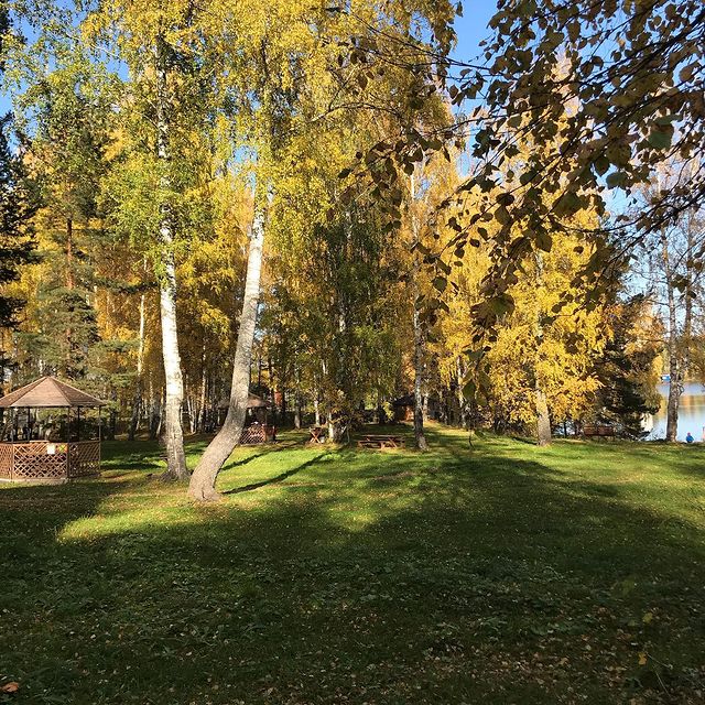 step2221 в LOOKY. . Золотая осень 🍂