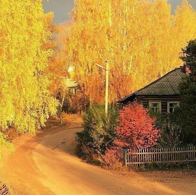 ilya_chizhov_76 в LOOKY. . Когда-то Братишка мн...