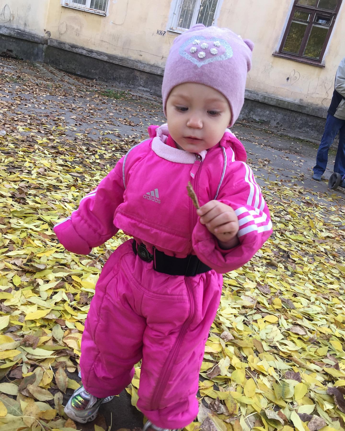 alba1you в LOOKY. #маминцветочек🌸,#осеньзолотая🍁🍂. #маминцветочек🌸 #ос...