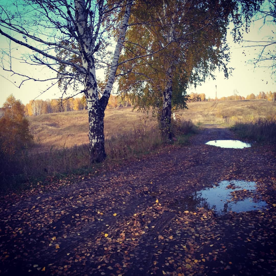 ok.oreshkina in LOOKY. #КамушкиХимзавод. Последние деньки теп...
