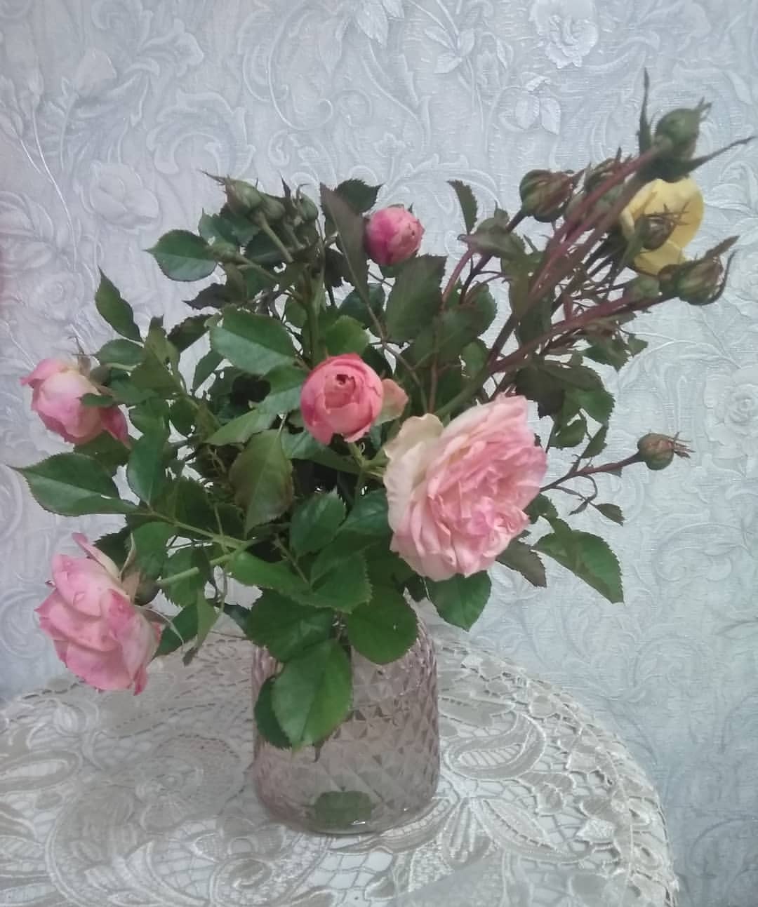 Сибирские розы ещё радуют!