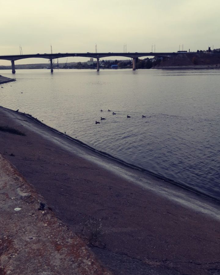 _natta__5 в LOOKY. #камышин,#мост,#утки. Будь что будет...
#к...