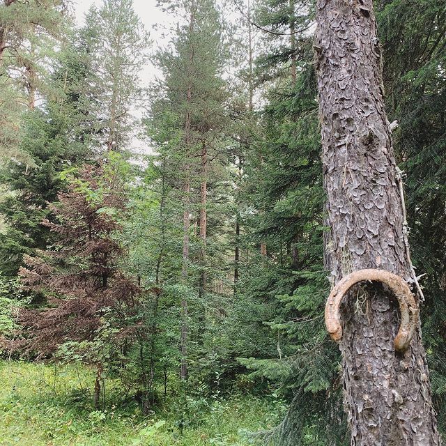 ekaterina_govorit в LOOKY. . Держи в чистоте свой...