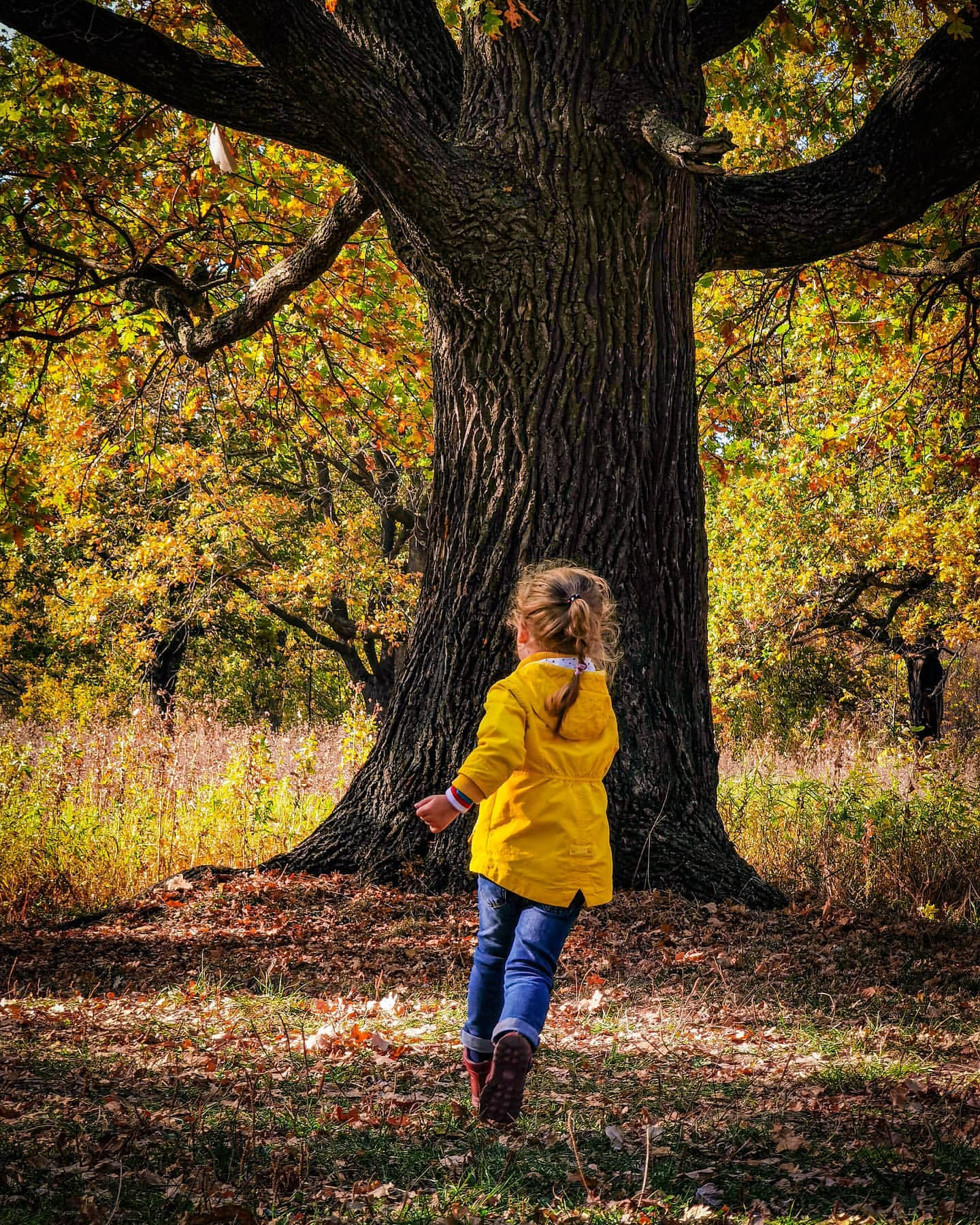 ivanfilatkinkin в LOOKY. #huaweip40pro. Поймай меня...
#huaw...