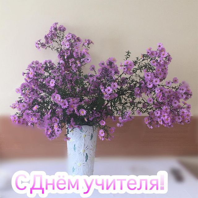 reinikelis в LOOKY. . Спасибо ребятам и ко...