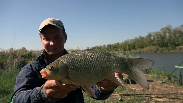 yug_fishing в LOOKY. #рыбалка,#караси,#flatfeeder,#отдых,#путешествия,#природа,#фидер,#осень. Погонял крупных осен...