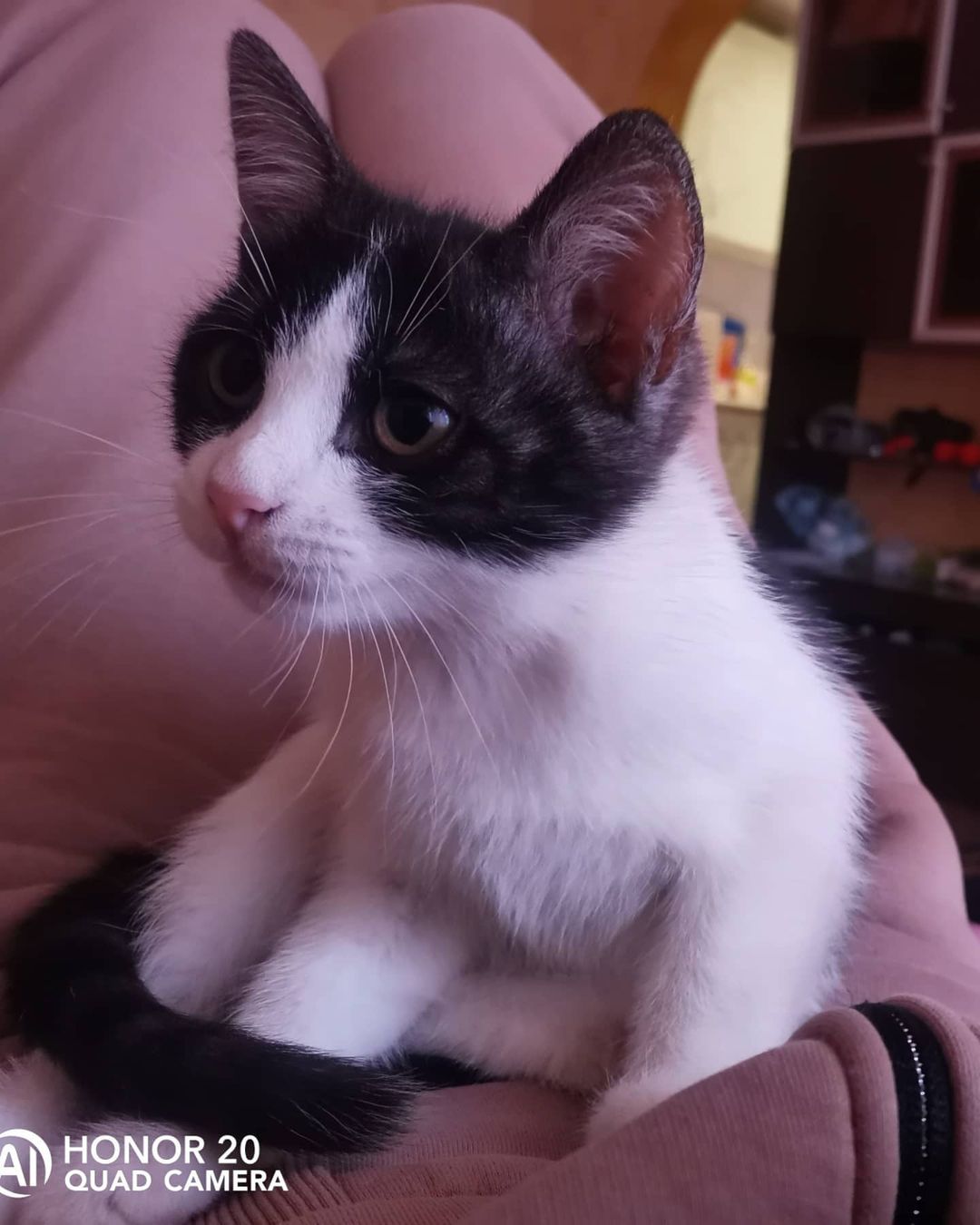 __.kiss.kissaa в LOOKY — фото 3