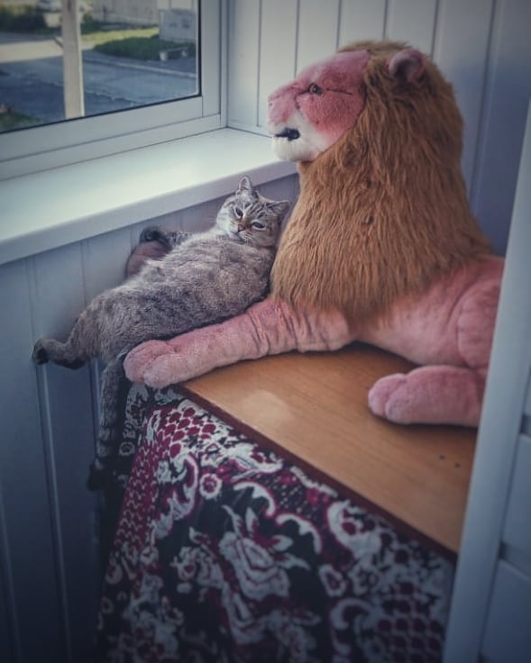 philipp_palch_ в LOOKY. . Мой кит😼