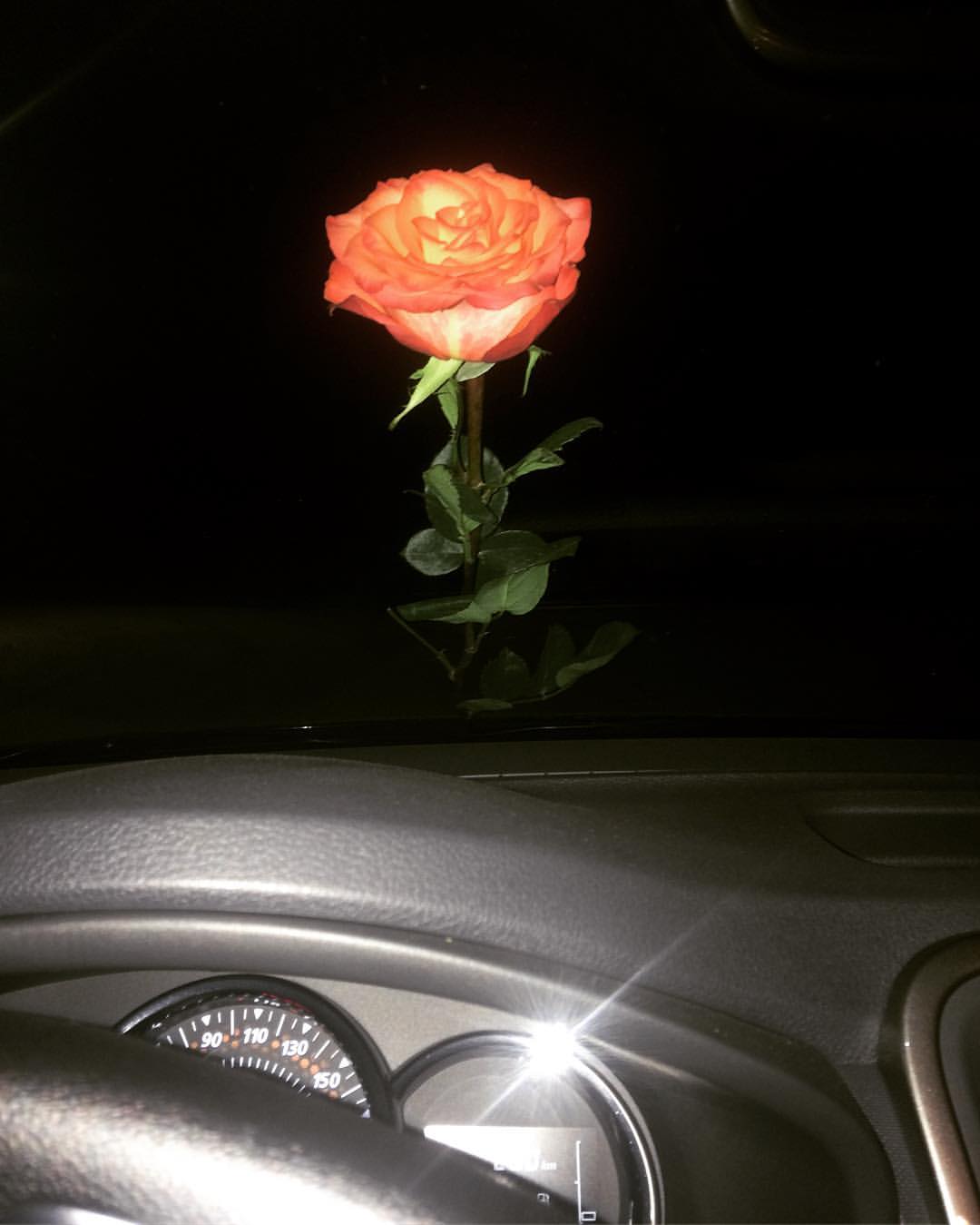 ahurumova в LOOKY — Роза на лобовом стекле🌹 Выхожу с работы и тут...неожиданно,