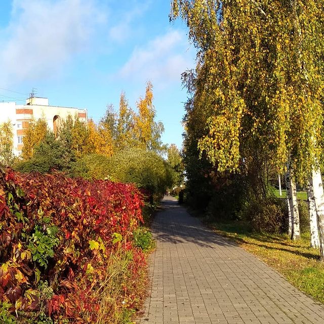 marina.v.zubkova в LOOKY. #доброеутро#жизньпрекрасна#пушкин#осень#добровидение2020. Утро доброе! Солнечн...