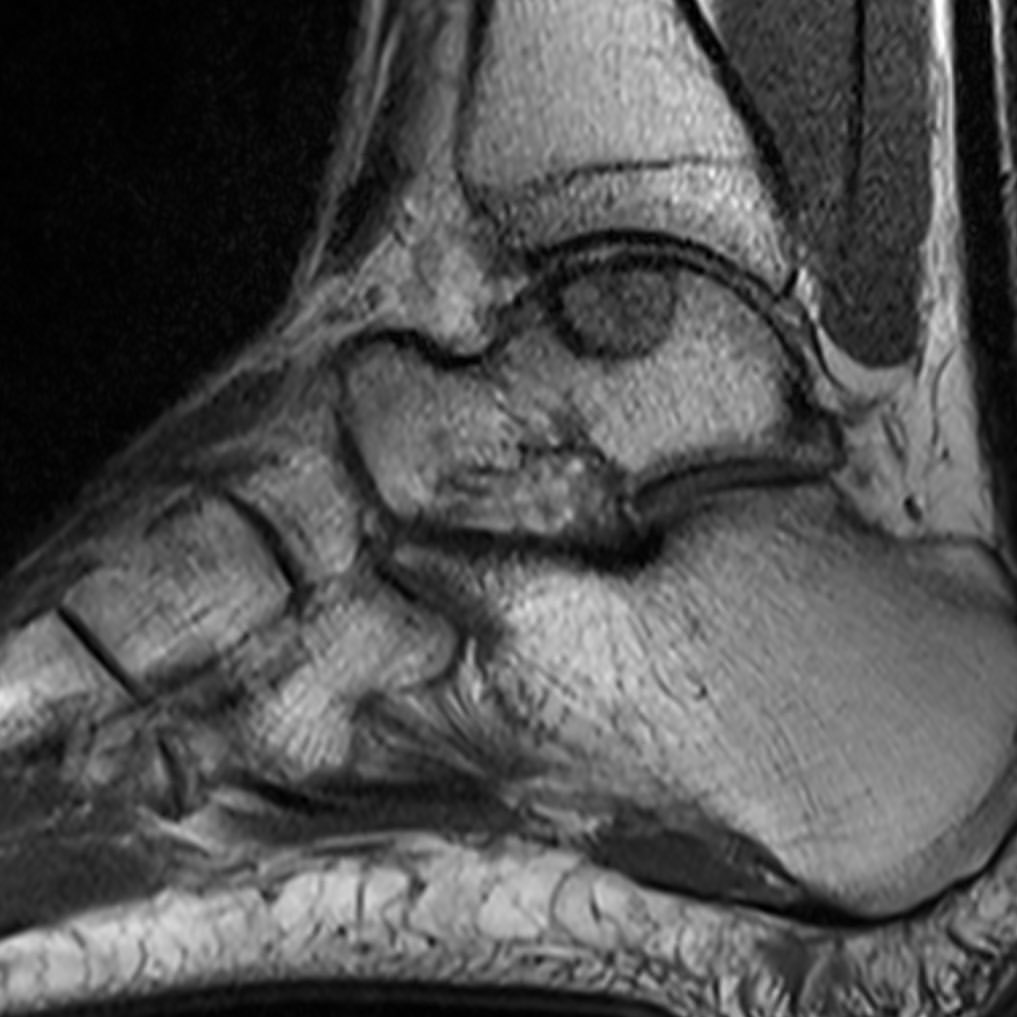 russianradiology в LOOKY — фото 2