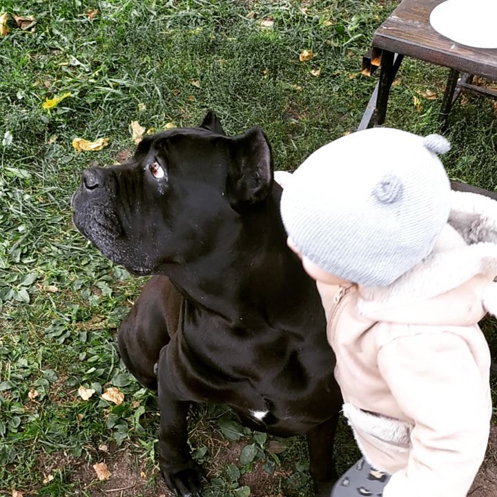 konon.ekaterina01 in LOOKY. . Наша нянька уже мечт...