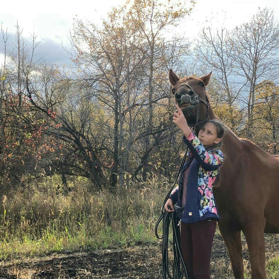 elizabeth_isk в LOOKY. #лошади,#люблюлошадей,#осень,#horse,#кони,#конныйспорт,#коноблог,#конныймир,#коноблогер_lh,#лошадь🐴,#лошадинаясила,#лошадки,#лошадифото,#лошадьдругчеловека. Вот такие осенние фо...