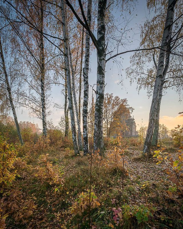 photo_mihalych в LOOKY. #len_oblast_,#пригородыпетербурга,#спбленобласть,#ленинградскаяобласть,#ленобласть,#leningradskaya_oblast,#churchrussia,#храмыроссии,#moyhram,#loves_united_church,#walk_on_russia,#po_strane,#natureofrussiaru,#native_Russia,#loves_russia2,#rus_places#russiaonline,#landscape_russia,#ruslavia,#showmerussia,#russia_photolovers,#rus_photos,#russia_ig,#photorussia,#russia_ww,#фотодляроссии,#russiamylove,#world_besthdr,#inspiring_photography_admired,#spb. Осень в этнопарке "Б...