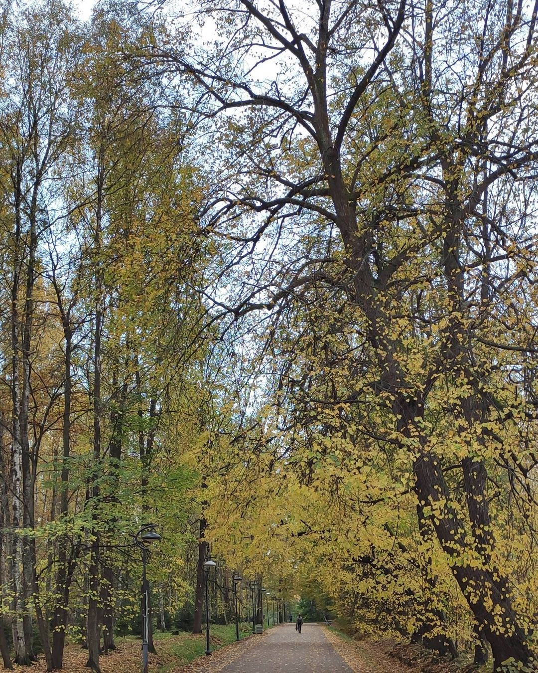 redcheeseline в LOOKY — #осень