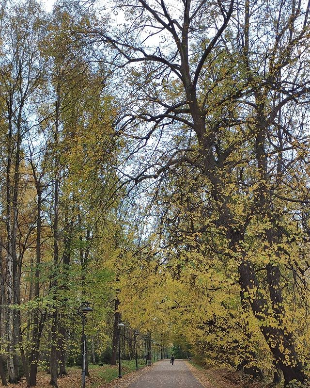 redcheeseline в LOOKY. #осень. #осень