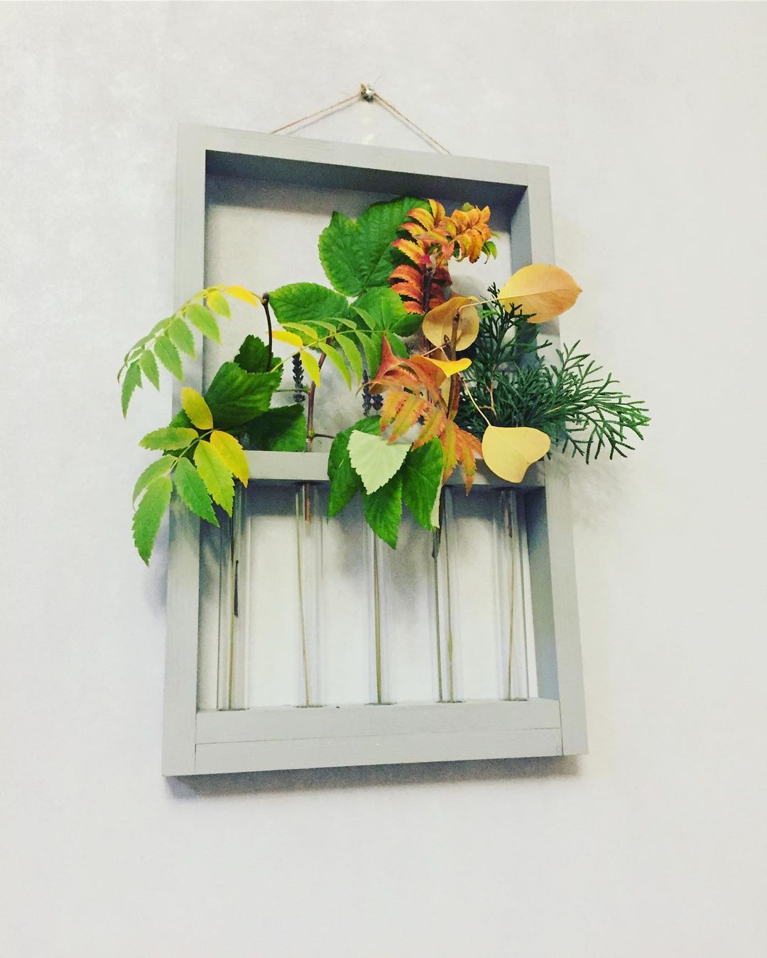 shnyakina в LOOKY — 🍁🍂а у вас есть мелочи, которые поднимают вам настроение ?)