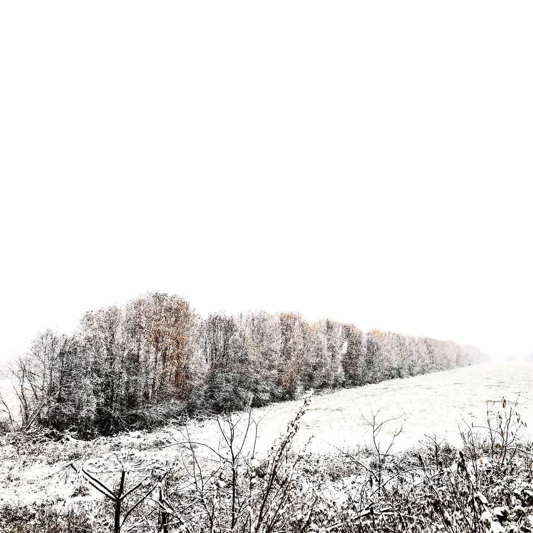 tatianaka757 в LOOKY — #Первыйснег