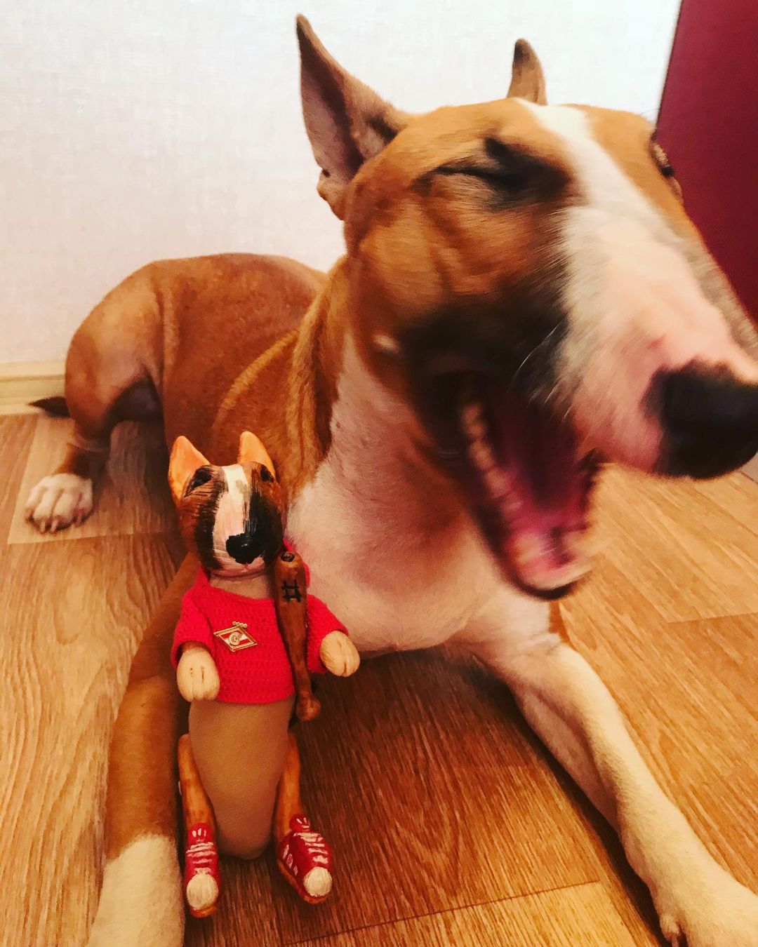 northman_88 в LOOKY — фото 5