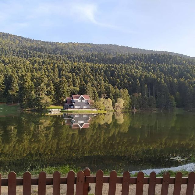 zenziyan в LOOKY. #lotusflower,#reflections,#lotus,#flowers,#lake. slowly we unfurl as ...
