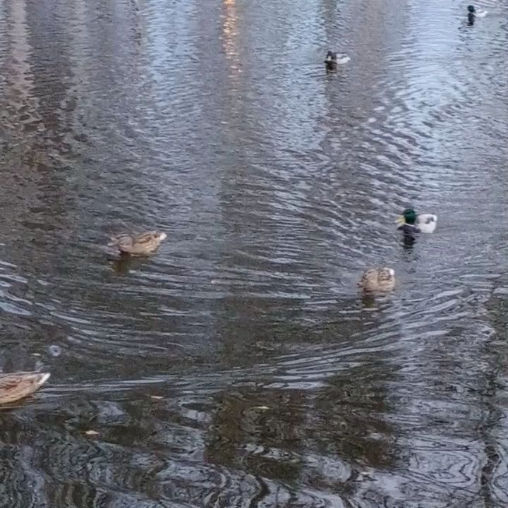 guzelkagt в LOOKY. . Как все же красиво.