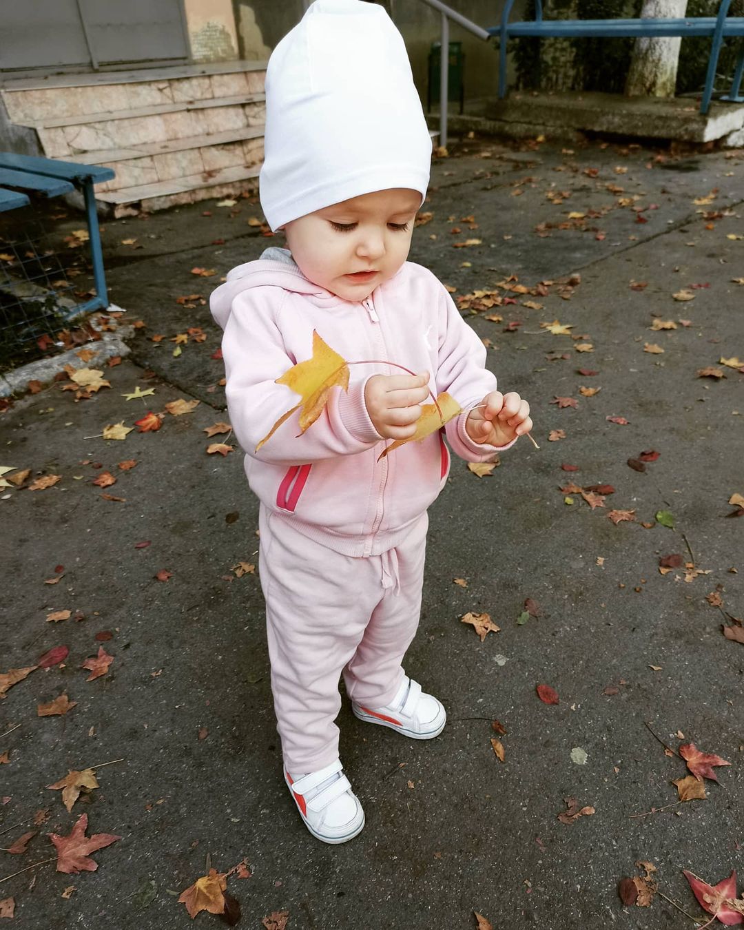 ilsichkamaria в LOOKY — #доча#осень#листья#прогулка