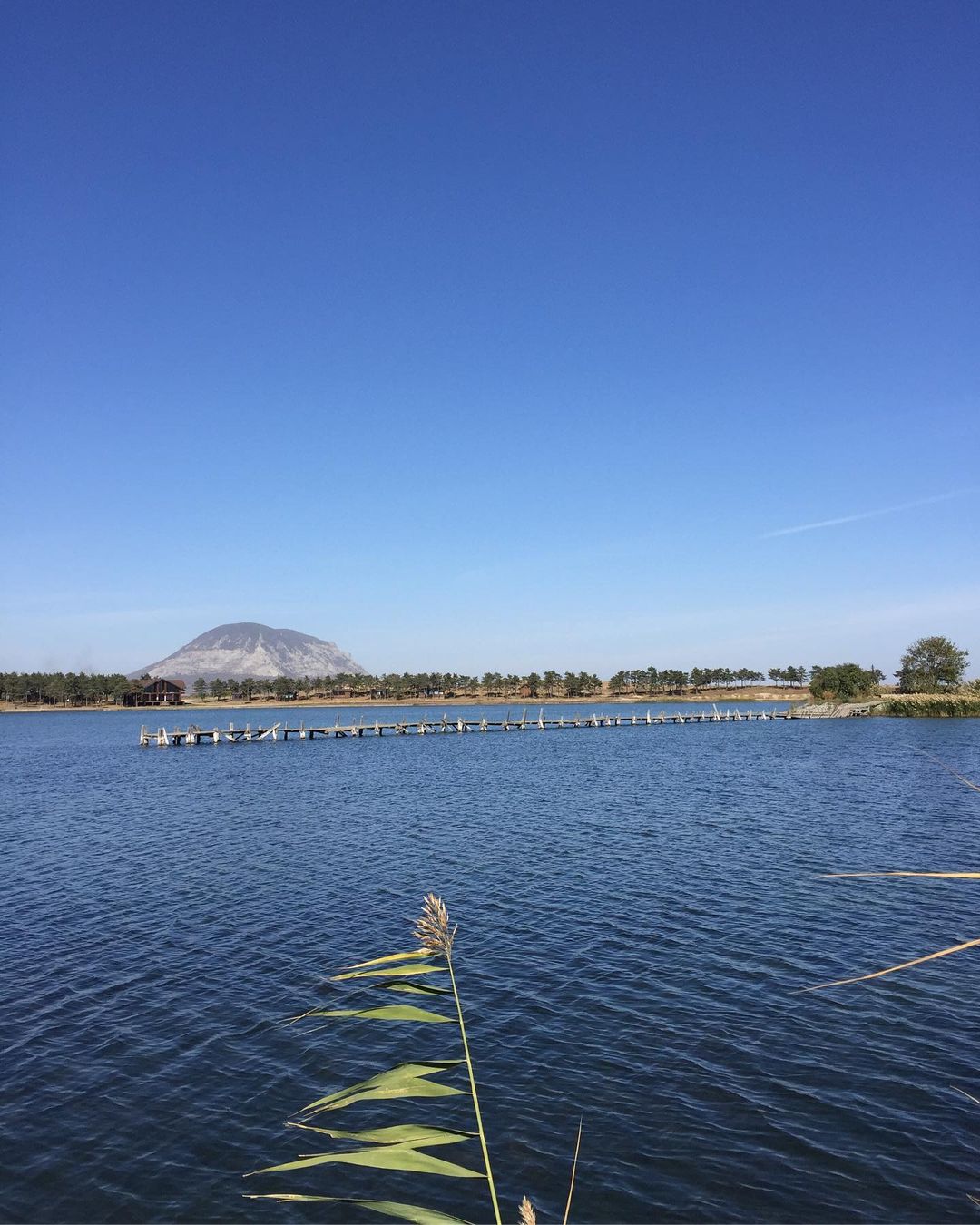 happysillyfox в LOOKY — фото 2
