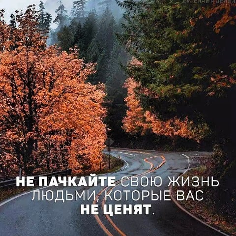 anvar_hojiboboev в LOOKY. . null