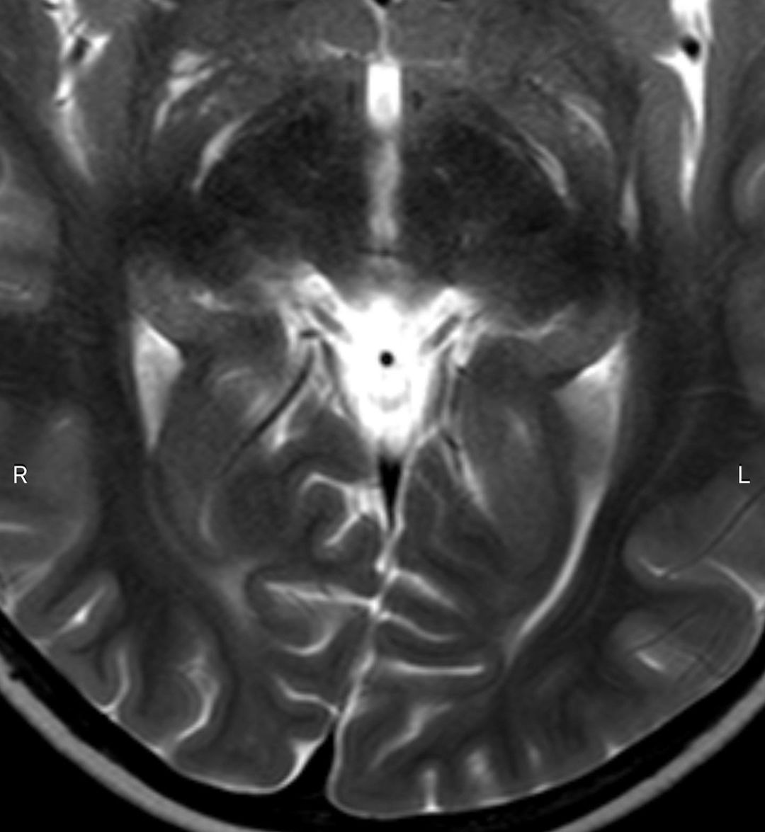 russianradiology в LOOKY — фото 2