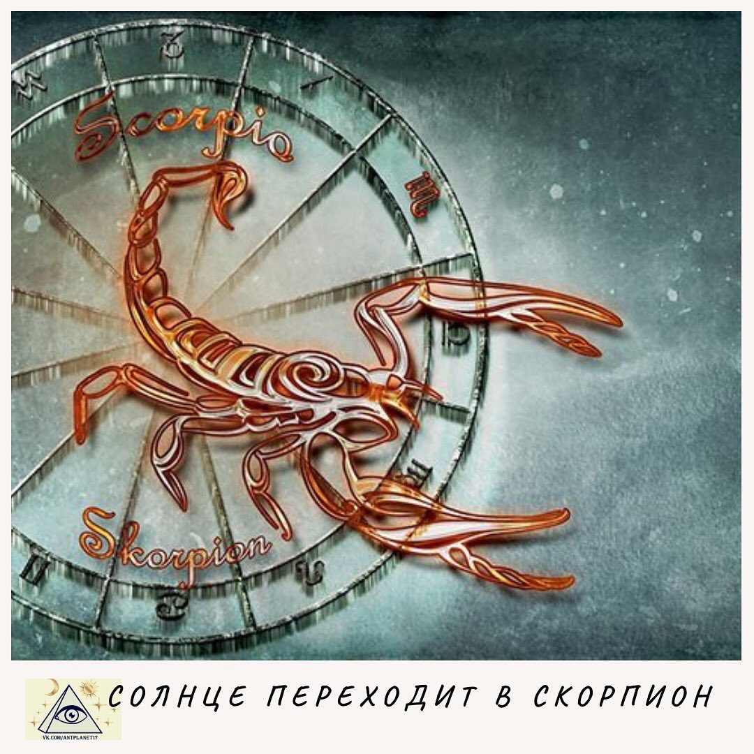 astrolog_nadya в LOOKY — Солнце переходит в ♏️ 23 октября в 01:59 . 
⠀
Самый загадочн