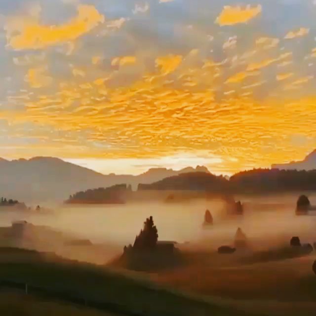 anvar_hojiboboev в LOOKY. . null