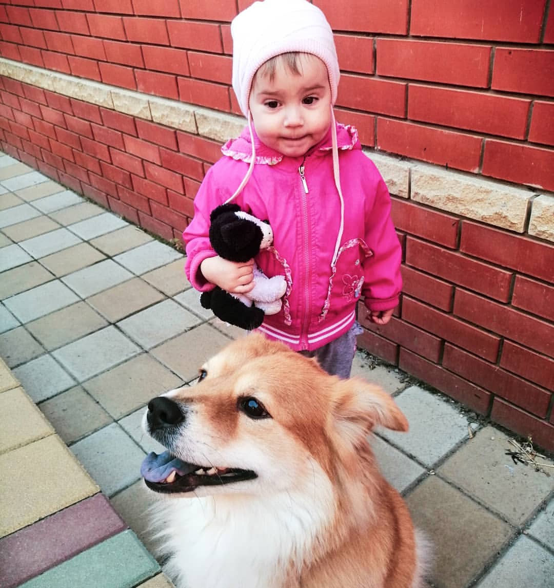 an_savenkoo в LOOKY — Забрали Еву к себе, Олеся, очень радая☺️
#детки_это_счастье 