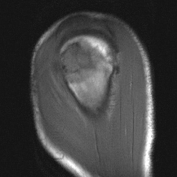 russianradiology в LOOKY — фото 4
