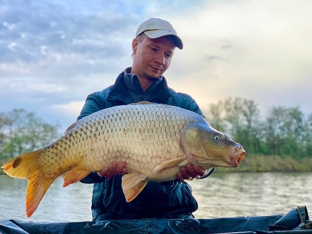 yug_fishing в LOOKY. #рыбалка,#карпфишинг,#краснодар,#кубань,#золотойберег,#рыбалкаосенью. Осенний карп🎣
Водоё...