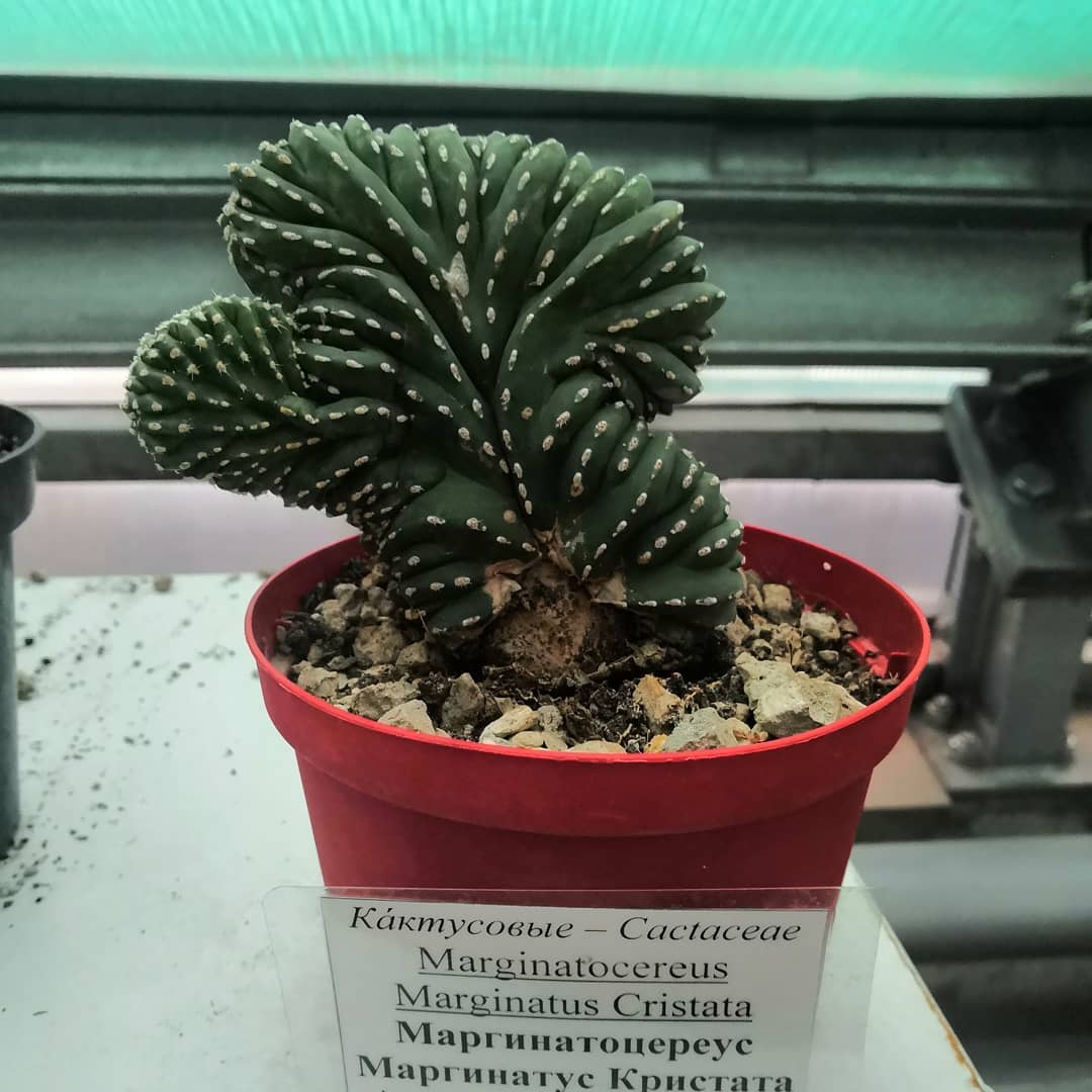 alex19crane в LOOKY — фото 3