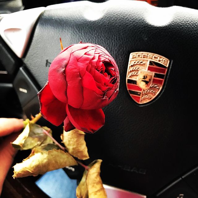 elenast_82 в LOOKY. . Последняя осенняя кр...