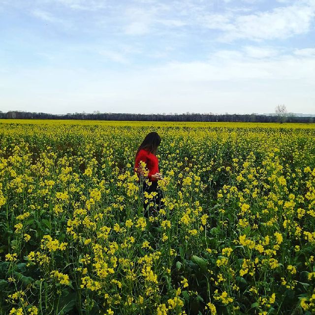 i_rina.k_ в LOOKY. . 🍁
Чем холоднее и бе...