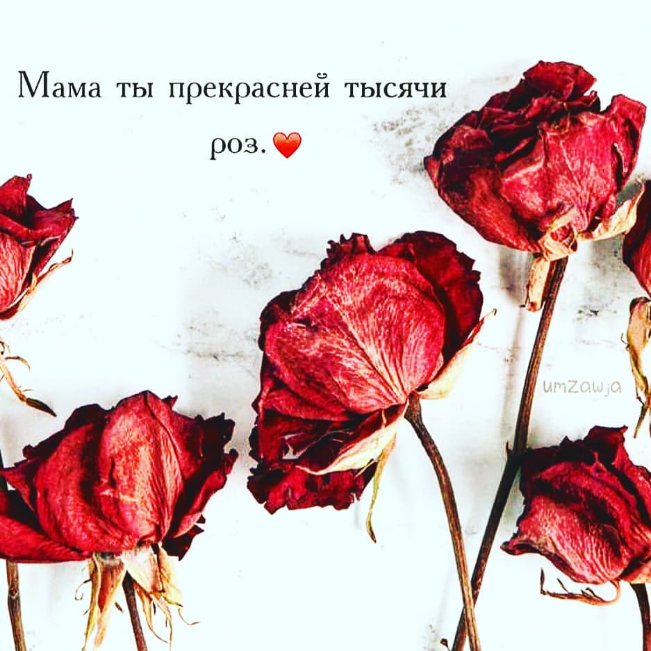 anvar_hojiboboev в LOOKY. . null