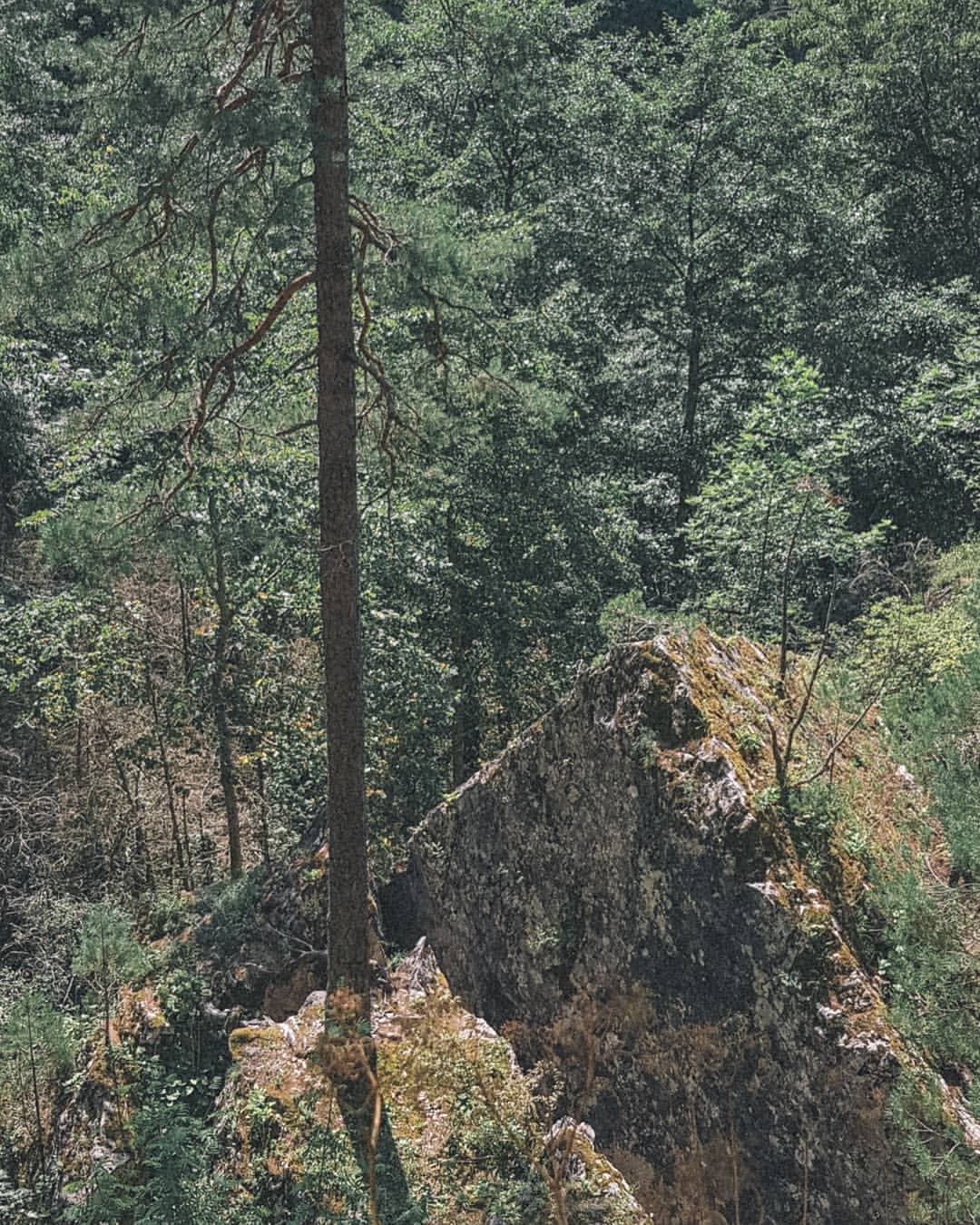 gadkijaspid в LOOKY — фото 3