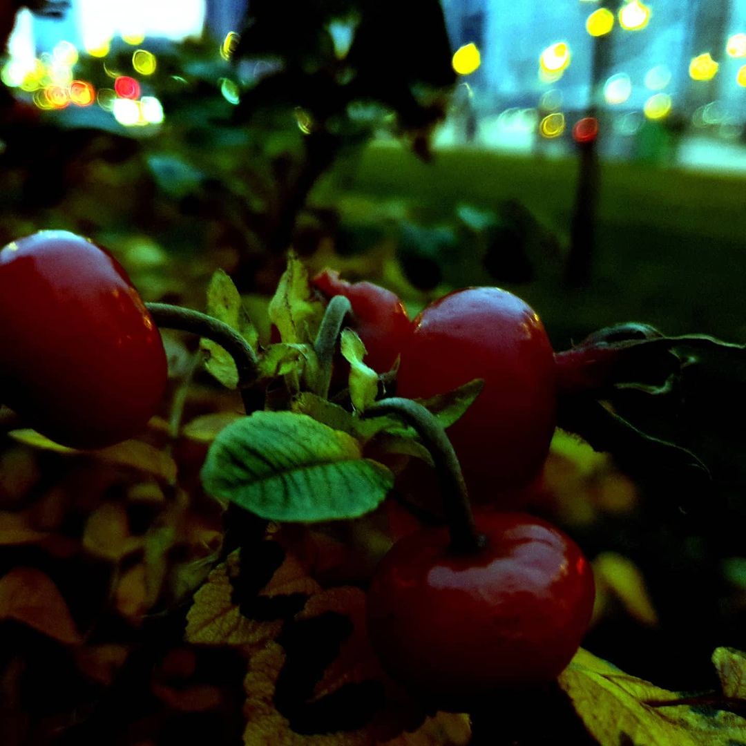 muchmore2027 in LOOKY. #Питер,,#autumn,#СПб,#вечер,#прогулка,#russia,#SPb,#saintpetersburg,#evening. 🇷🇺 Вечерний осенни...