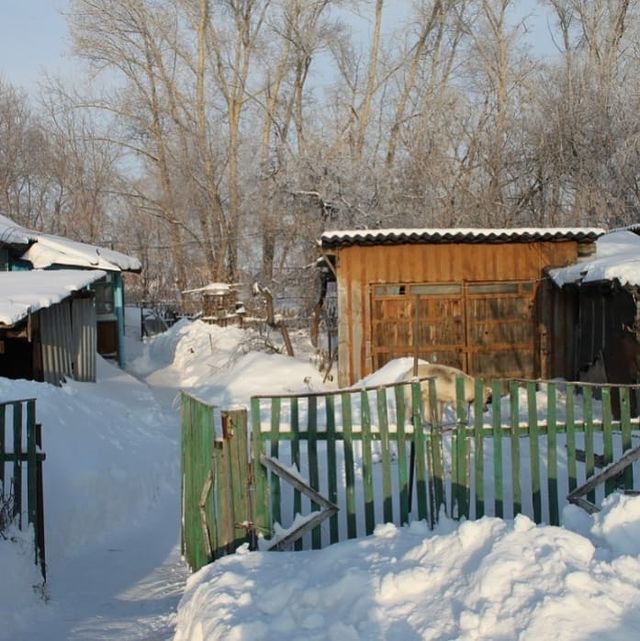 no_chamomile в LOOKY. . Тебе 5, 

открыв гла...