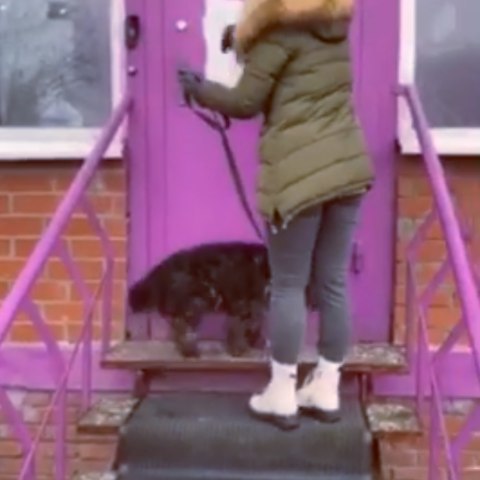 aigylya_dav in LOOKY. #другчеловека.. #другчеловека. Ищем ...