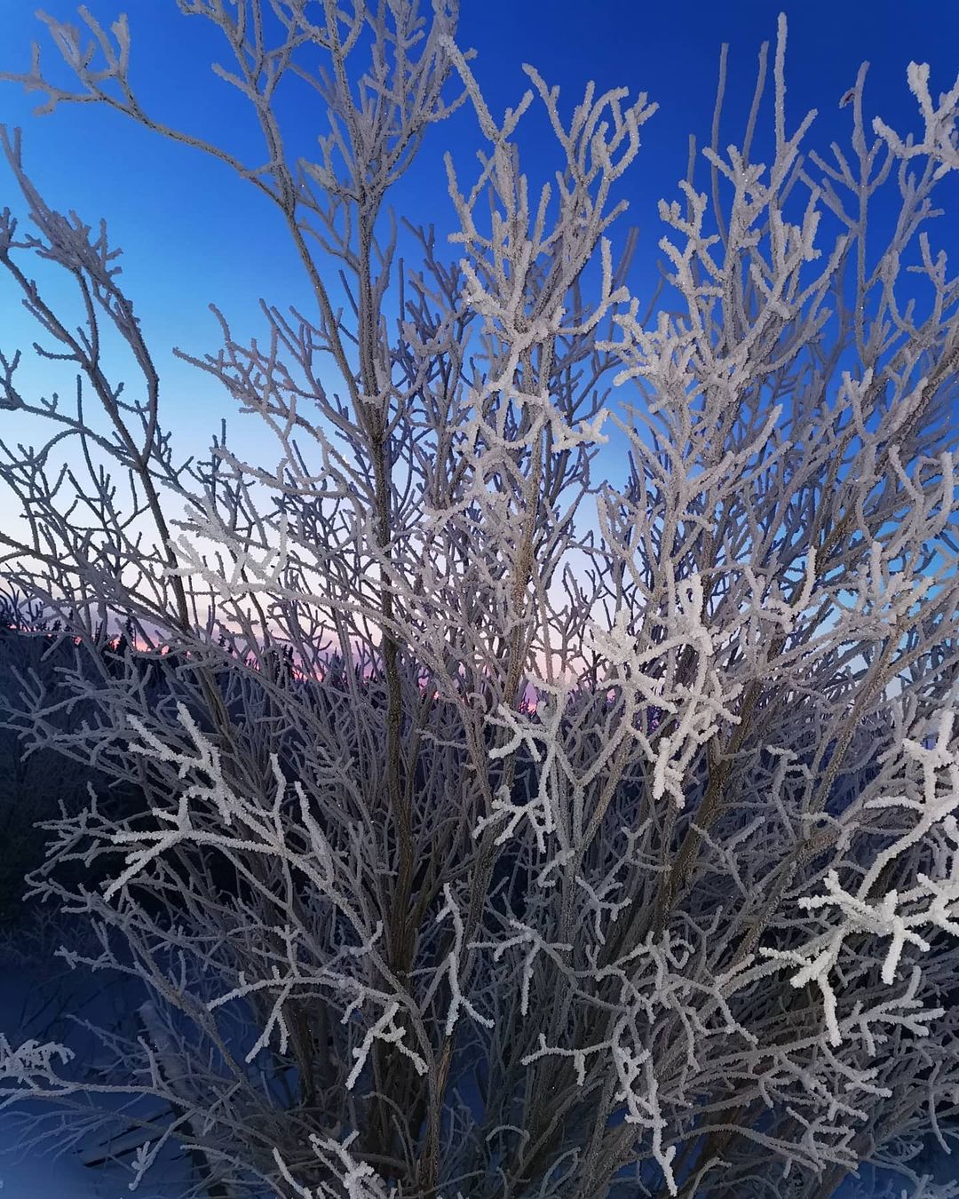 А тем временем у меня тут зима - 22°С #зима2020 #мк #крайнийсевер