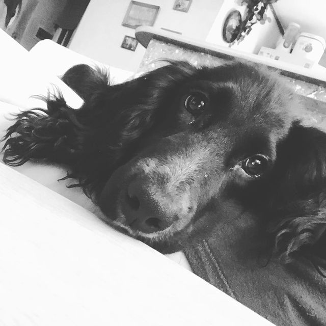 egoza_derezaa в LOOKY. . 🐾