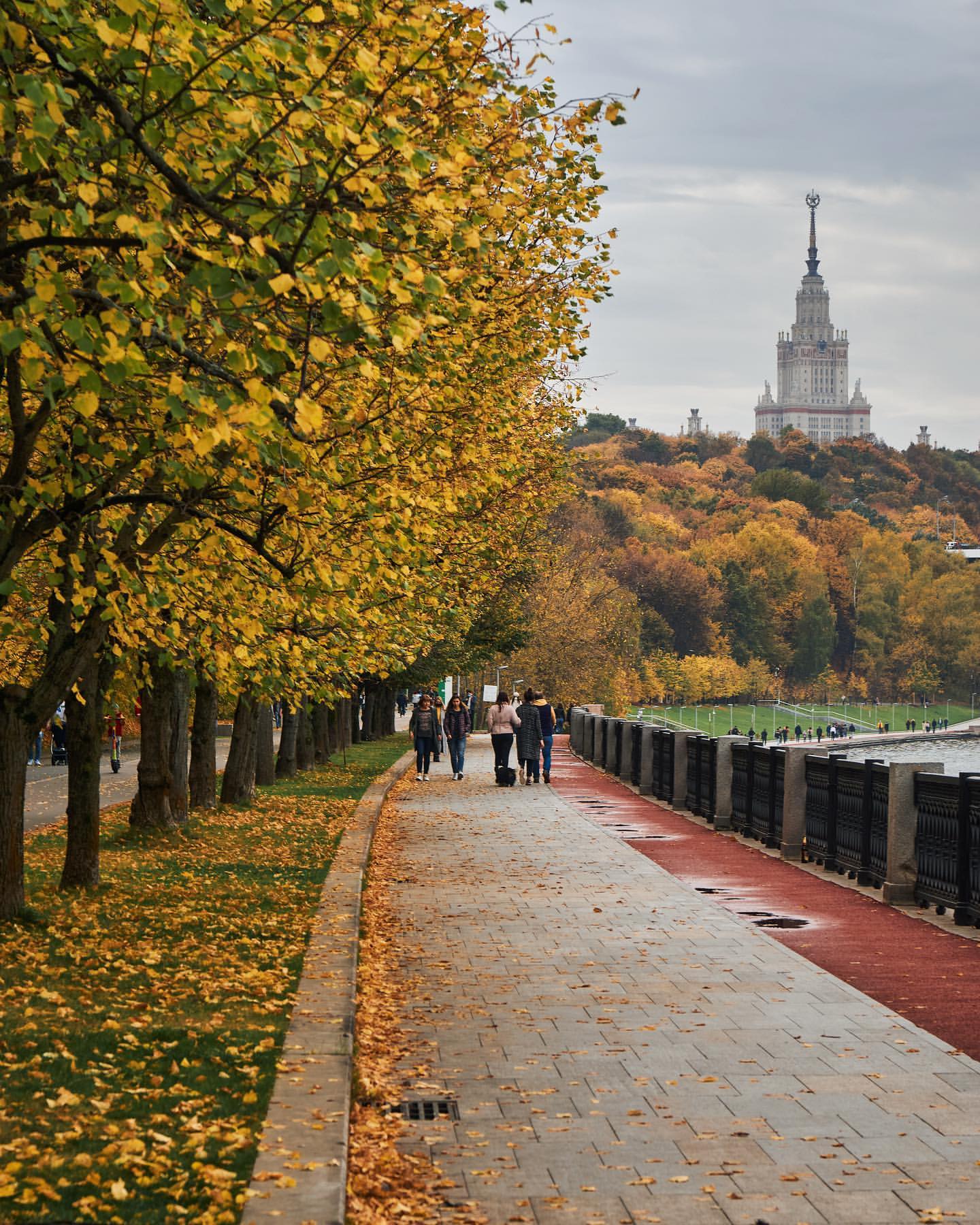 egorgoose в LOOKY. . 🍁