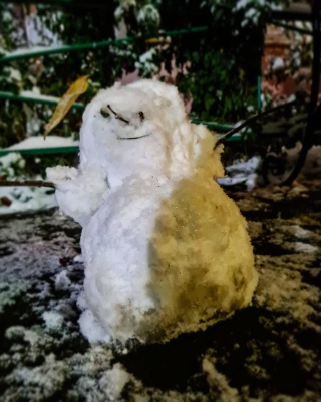 olyu_s в LOOKY. . А снега выпало столь...