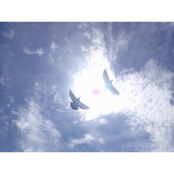 __tolyamba__ в LOOKY. . null