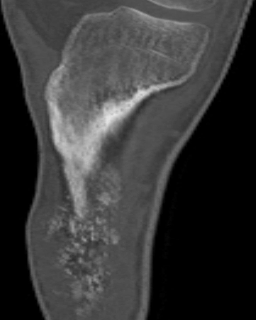 russianradiology в LOOKY — фото 2